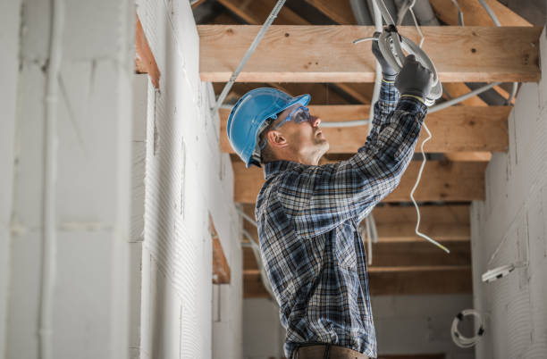 Best Electric Panel Repair  in Mayo, SC